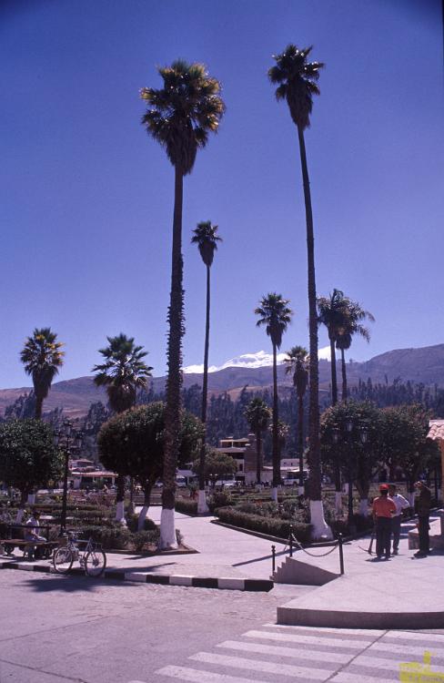 Peru 0228