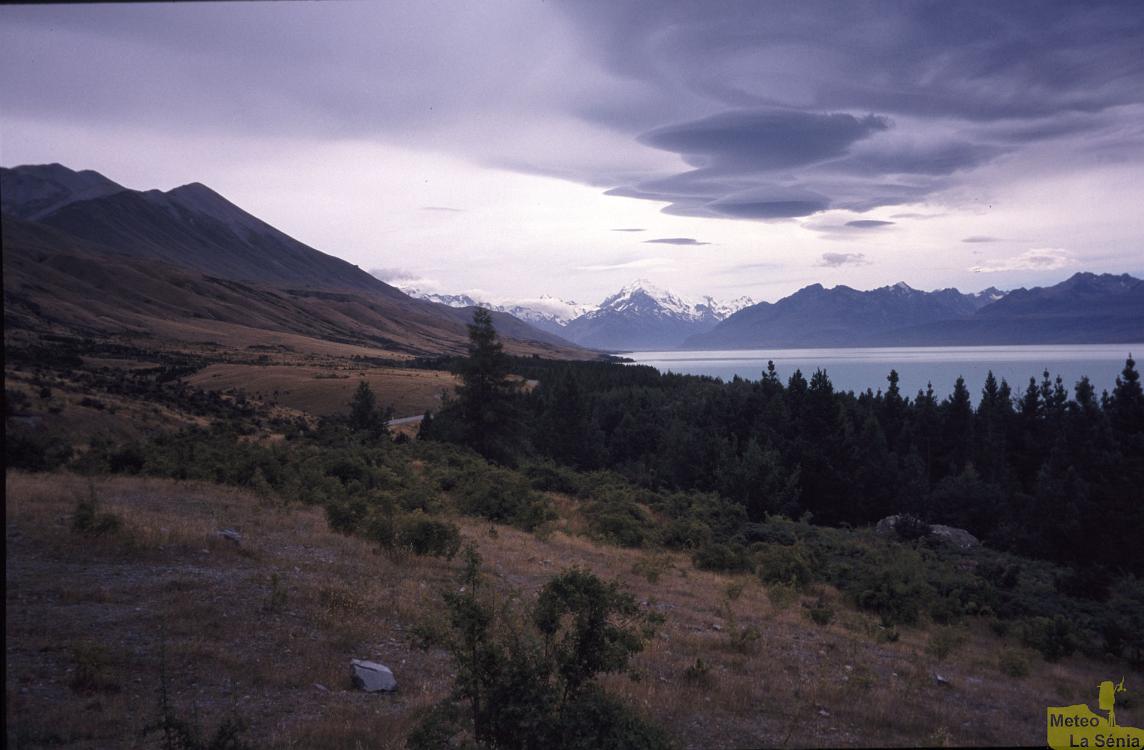 NZ 0036