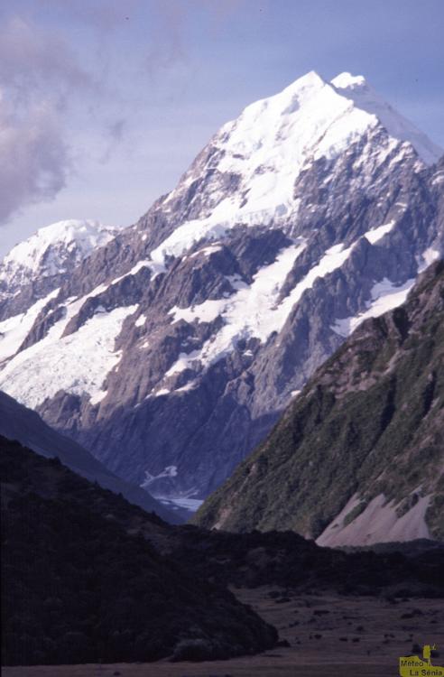 NZ 0089