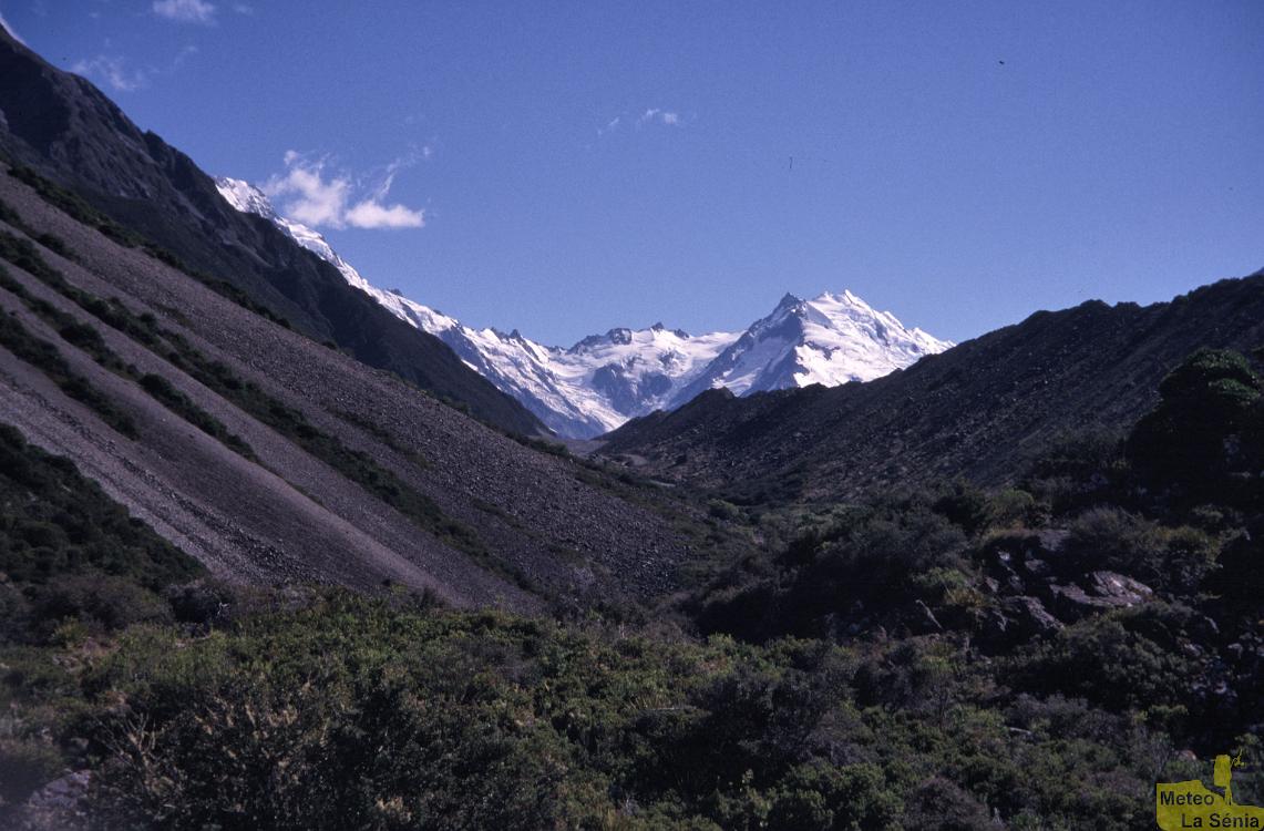 NZ 0099