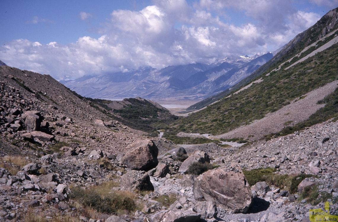 NZ 0101