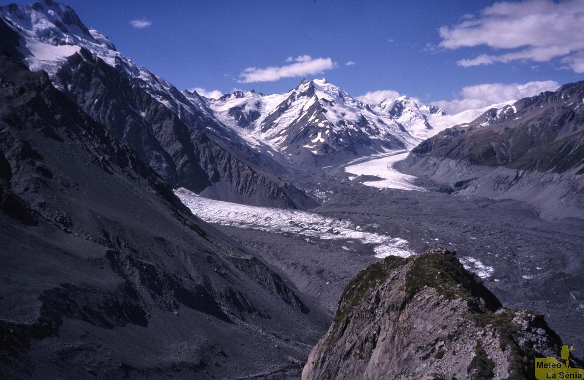 NZ 0119