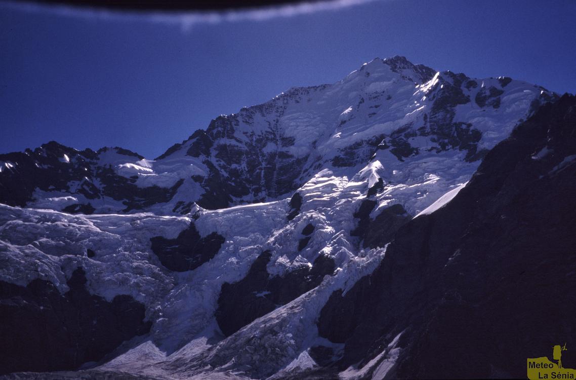 NZ 0131