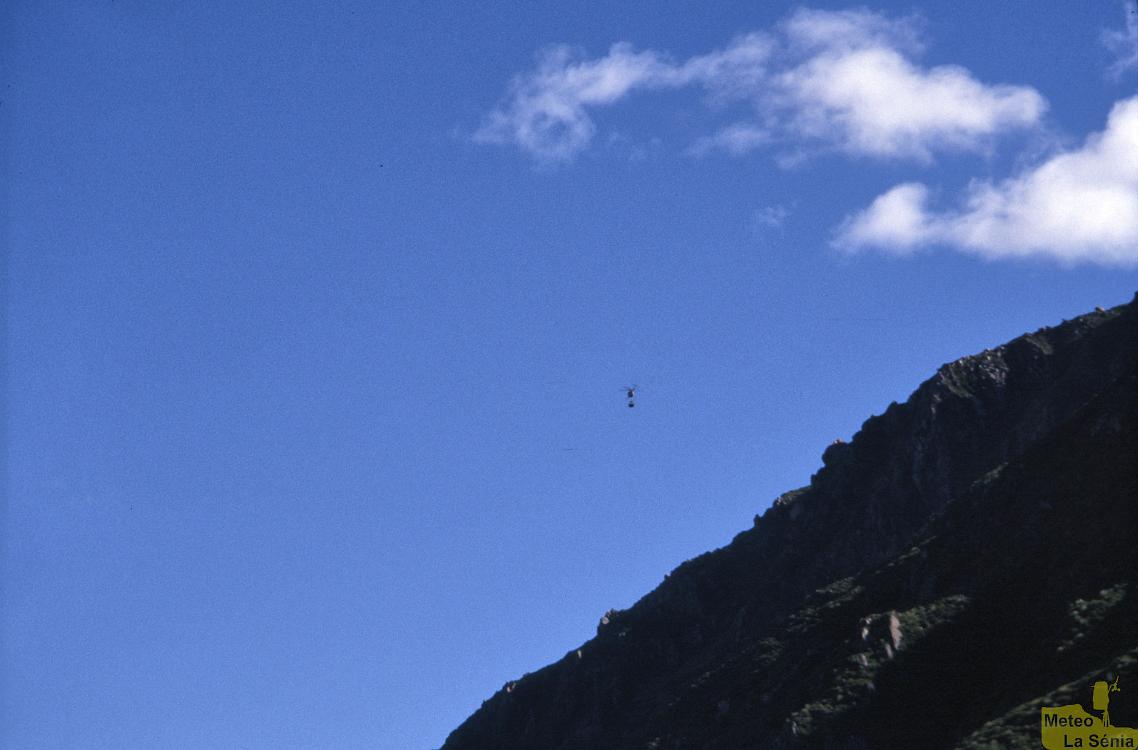 NZ 0133