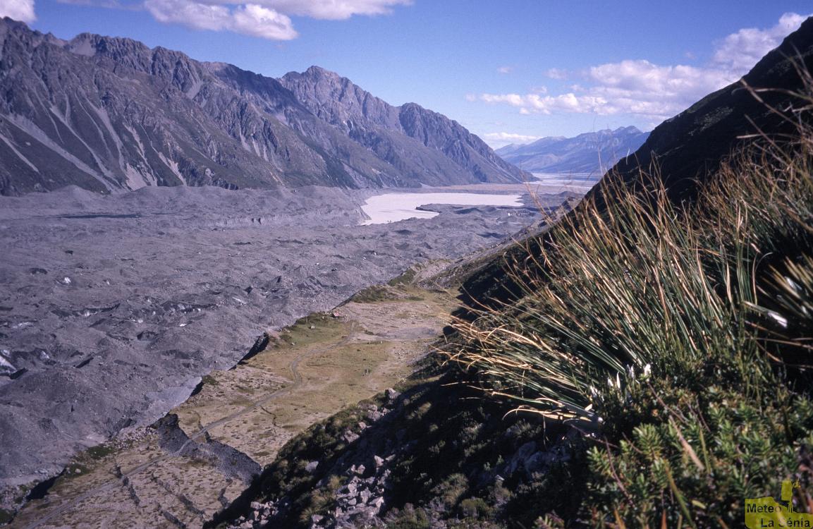 NZ 0134