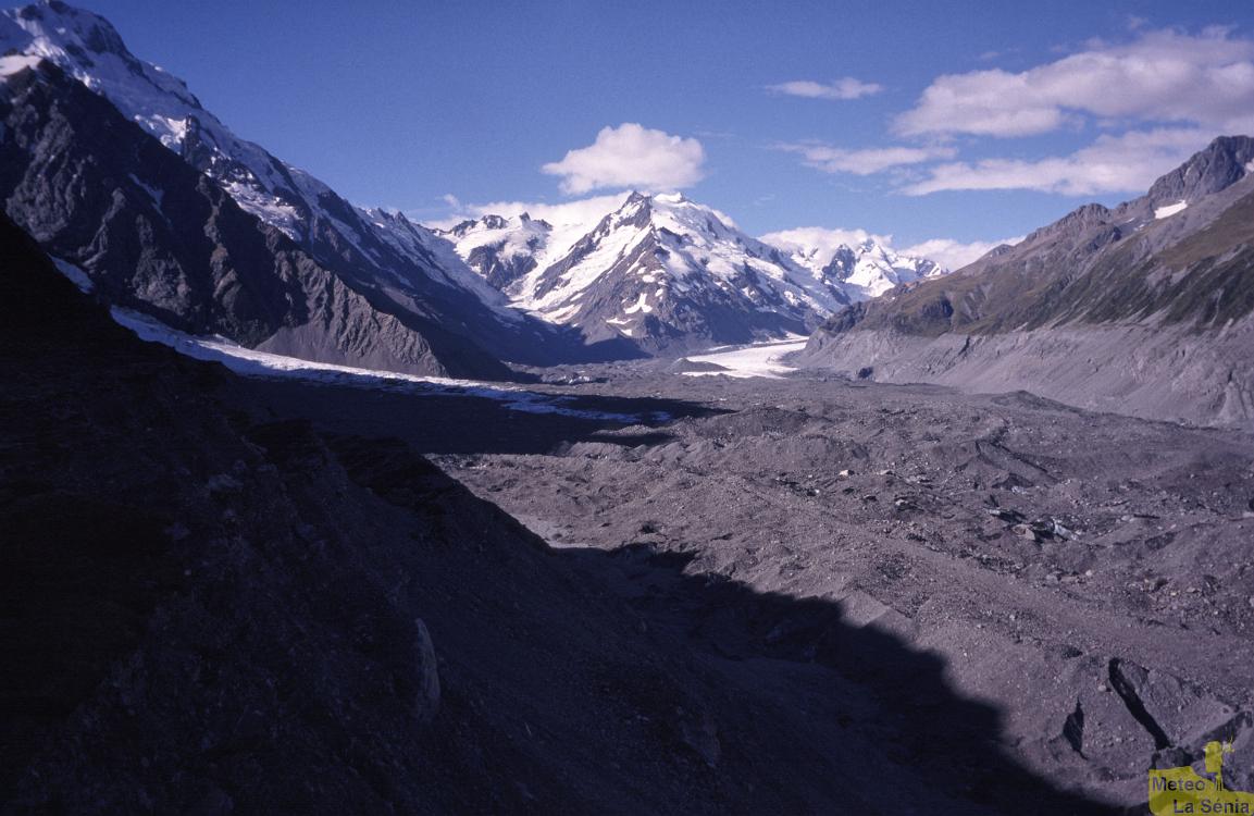 NZ 0135
