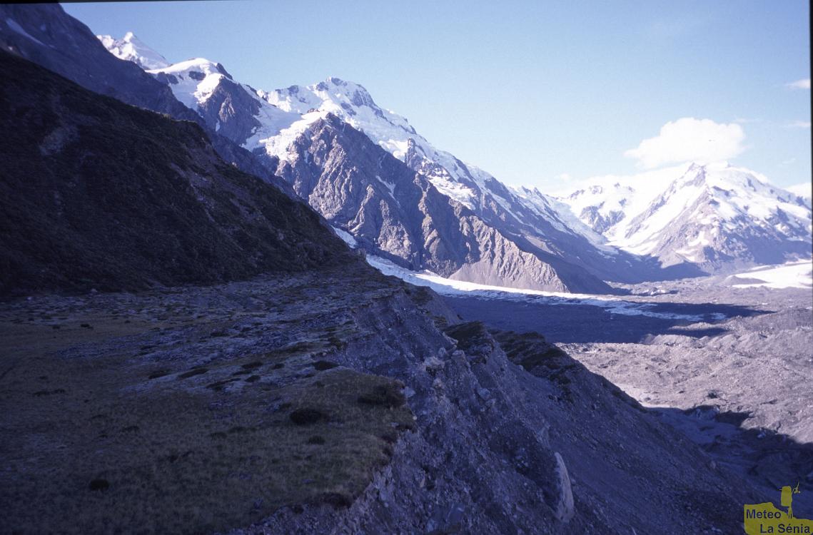NZ 0136