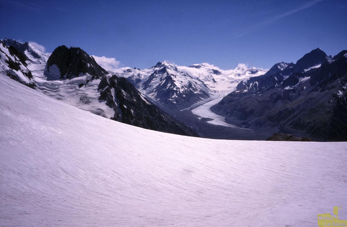 NZ 0184