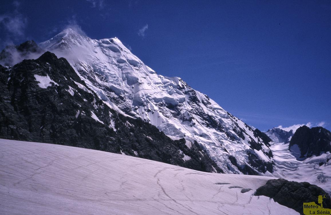 NZ 0199