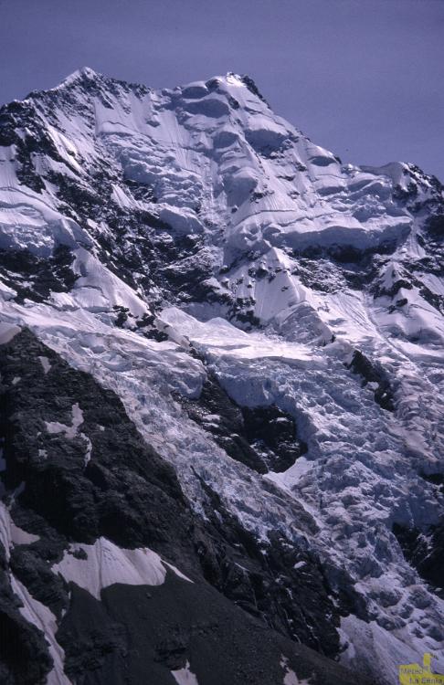 NZ 0207