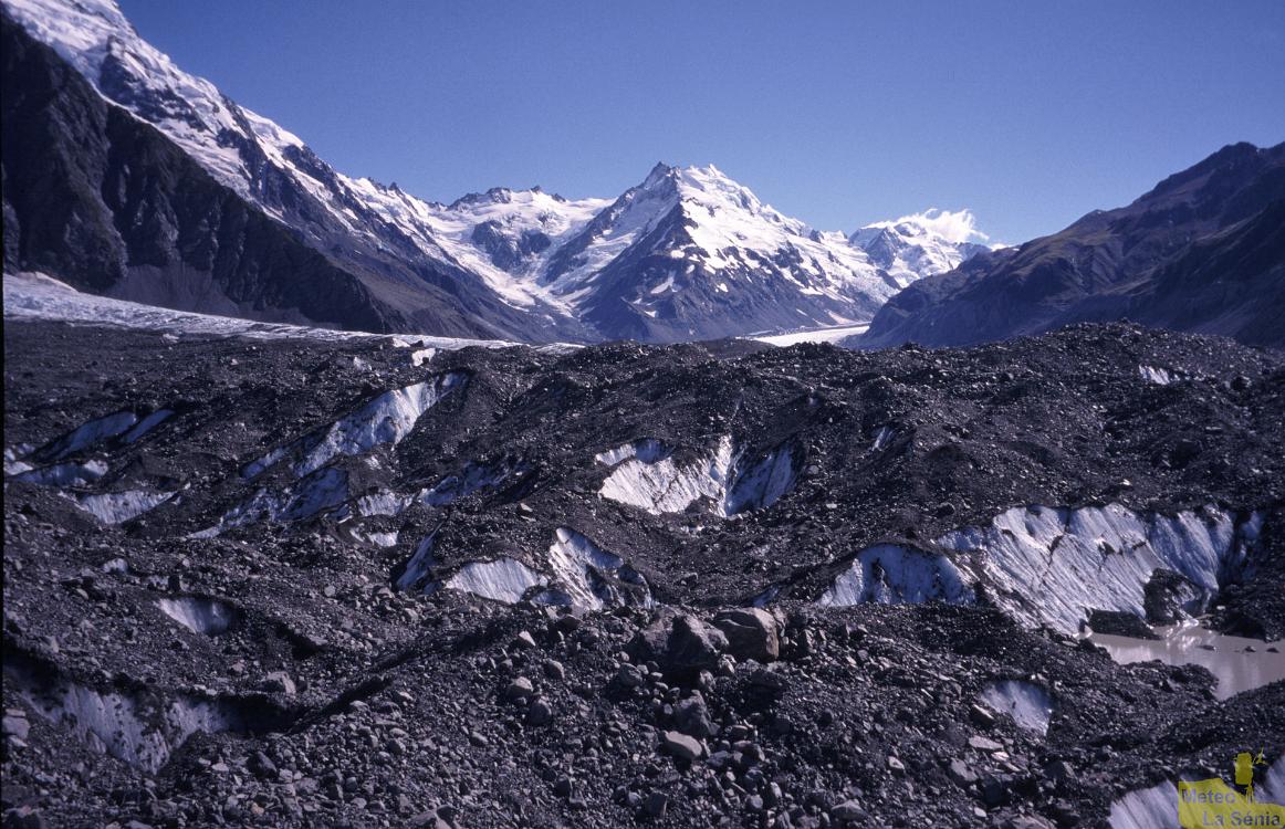 NZ 0231