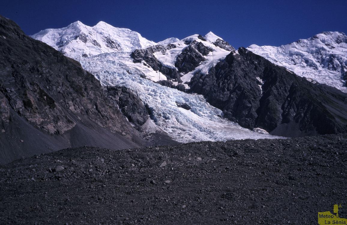 NZ 0237