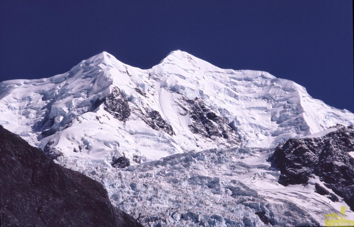 NZ 0247
