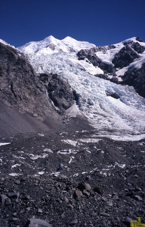 NZ 0264