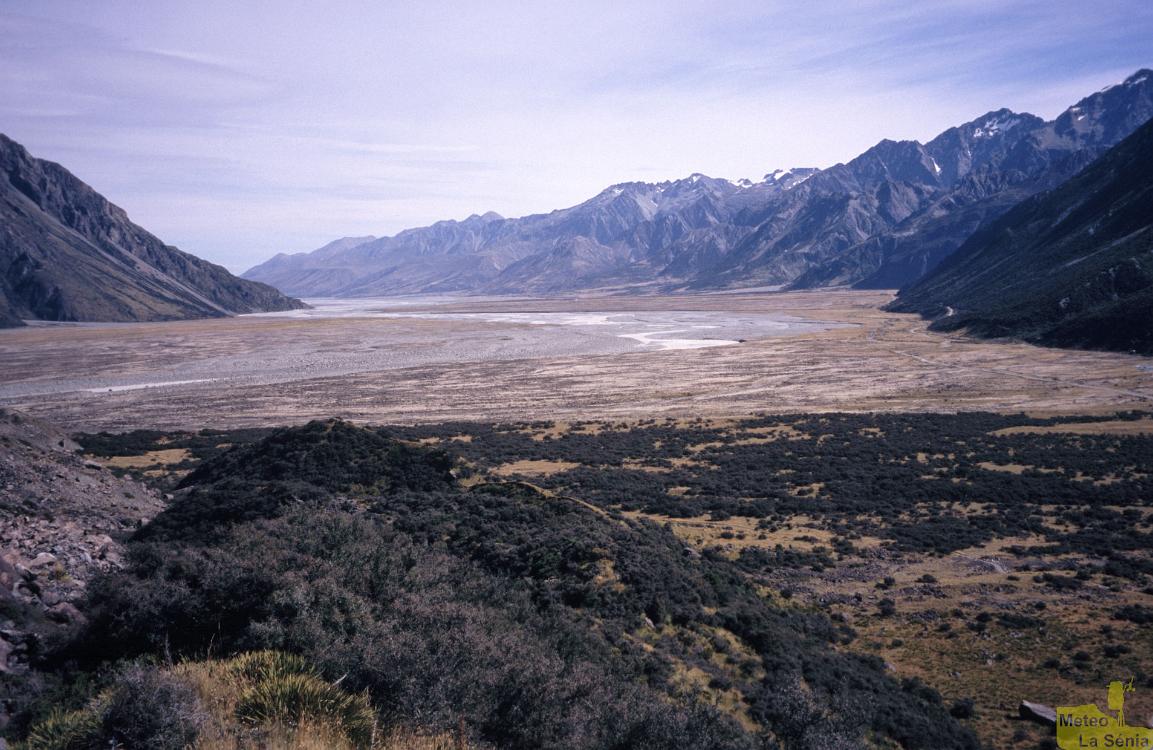 NZ 0277