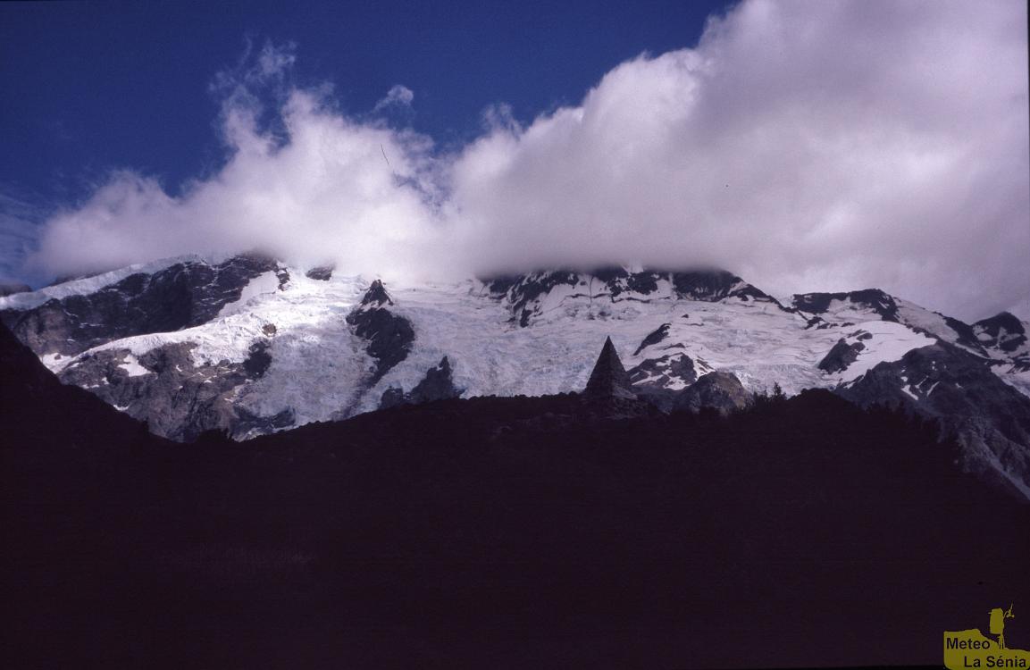 NZ 0281