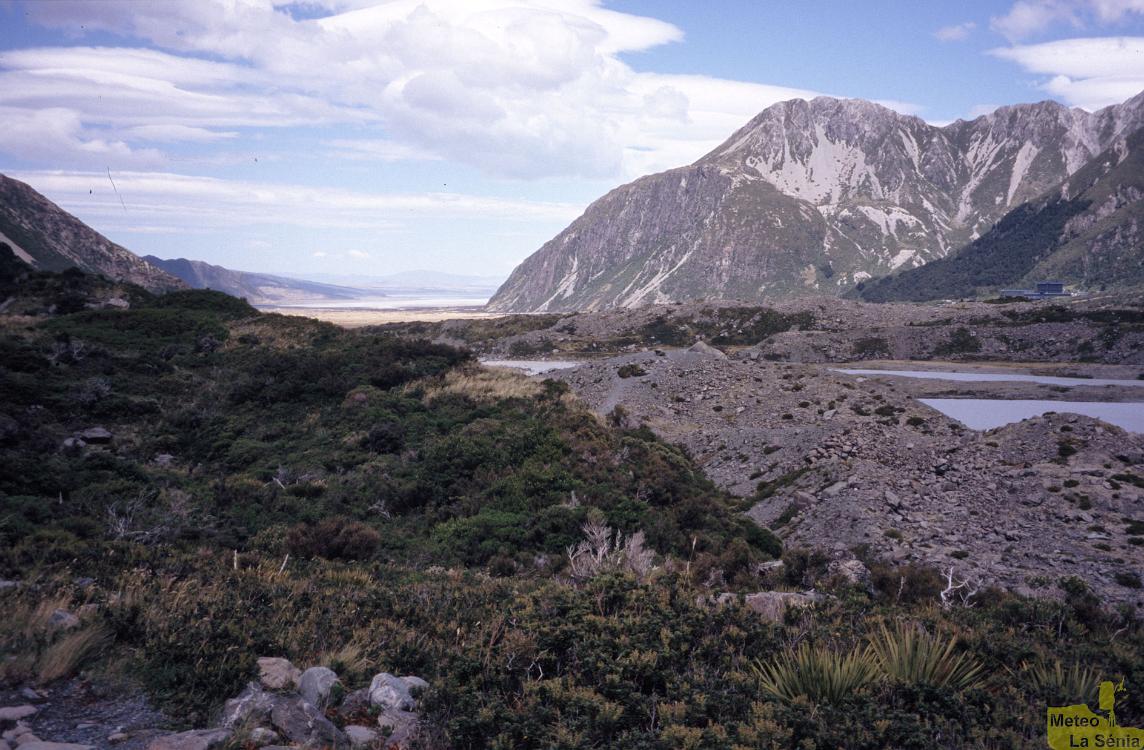 NZ 0307