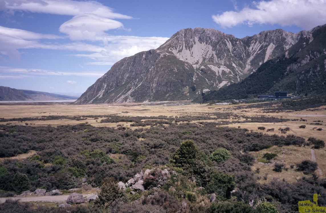 NZ 0308