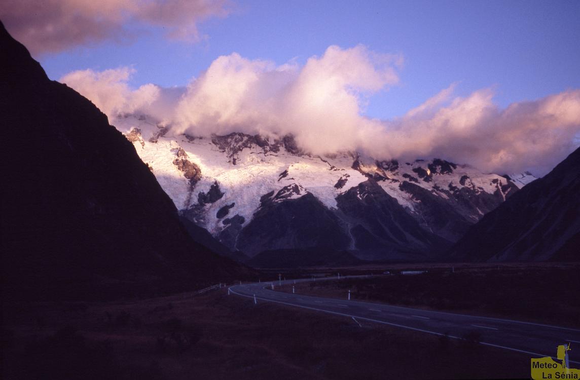 NZ 0313