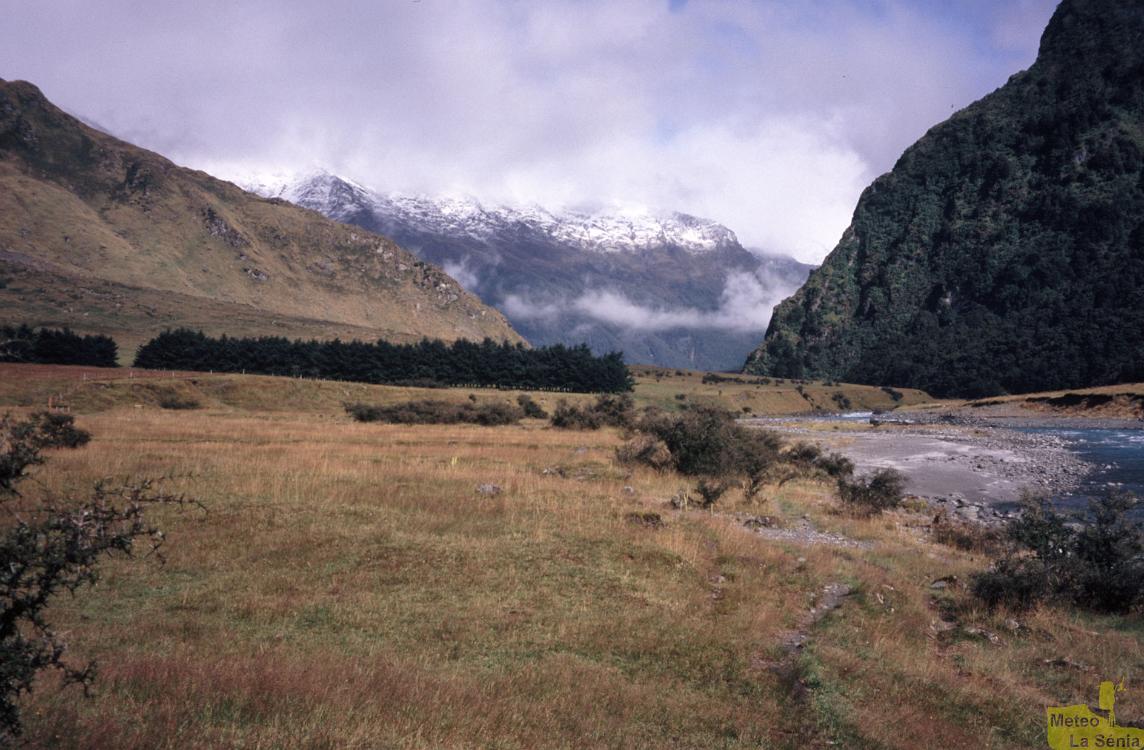NZ 0340