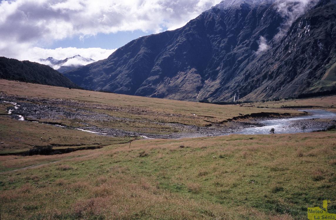 NZ 0343
