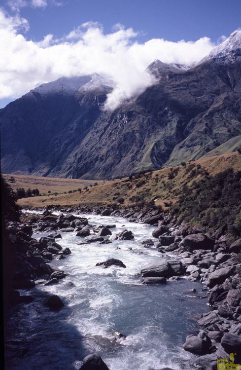 NZ 0347