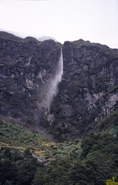 NZ 0355
