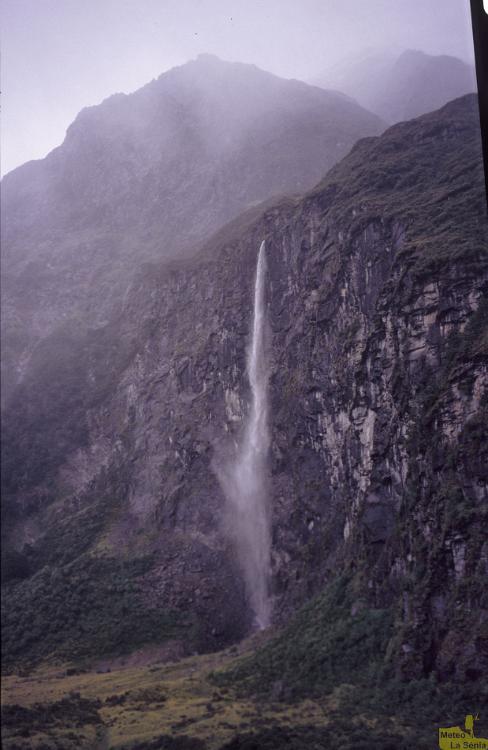 NZ 0362