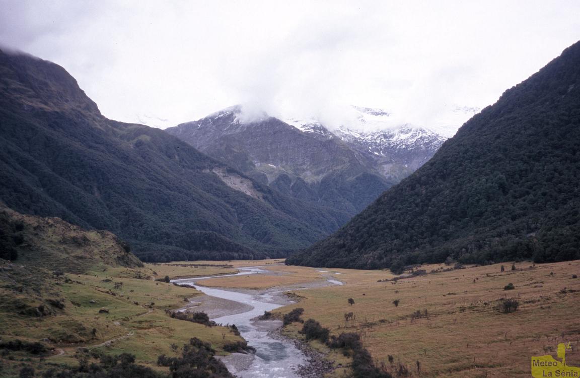 NZ 0368