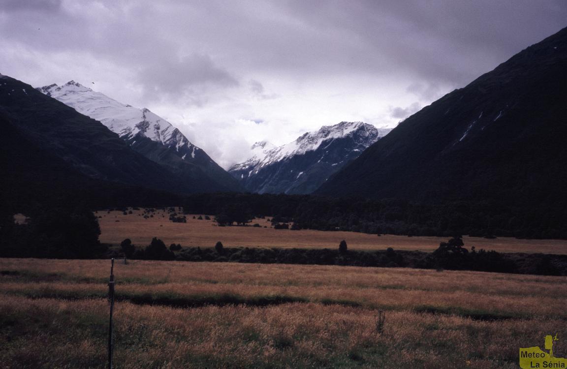 NZ 0374