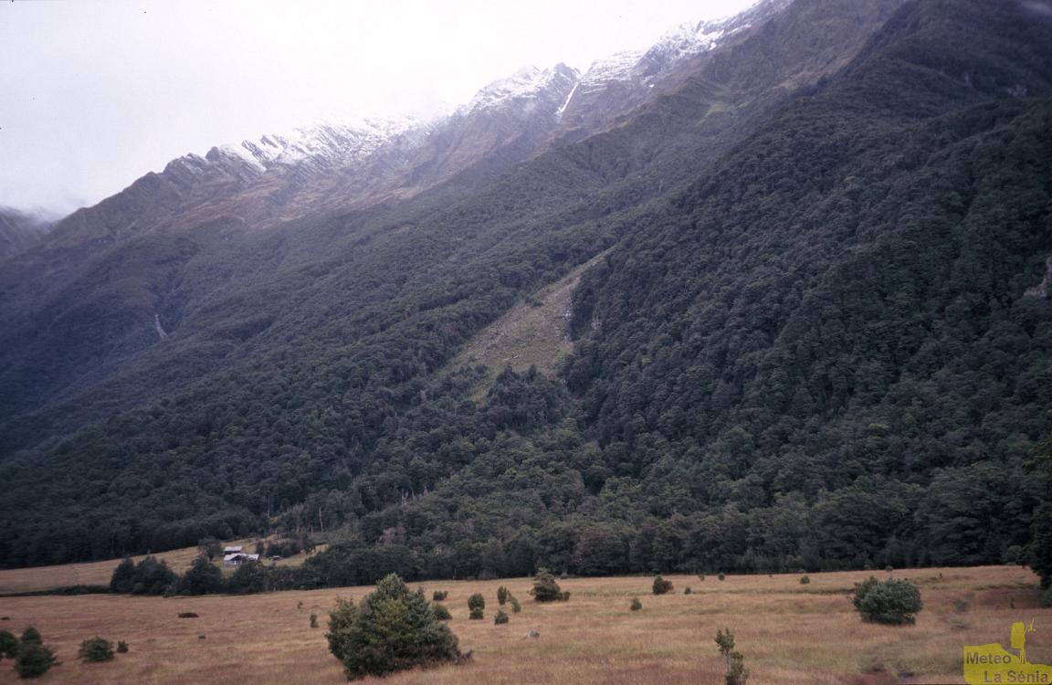 NZ 0379