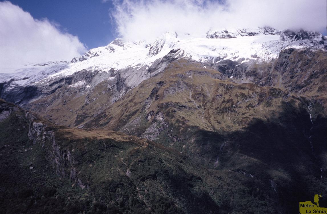 NZ 0395