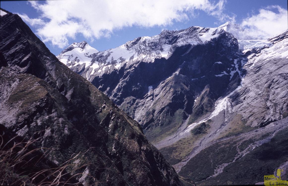 NZ 0399