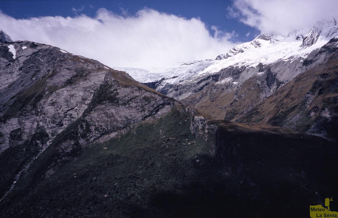 NZ 0401