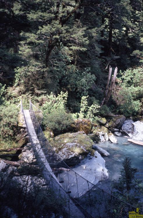 NZ 0407