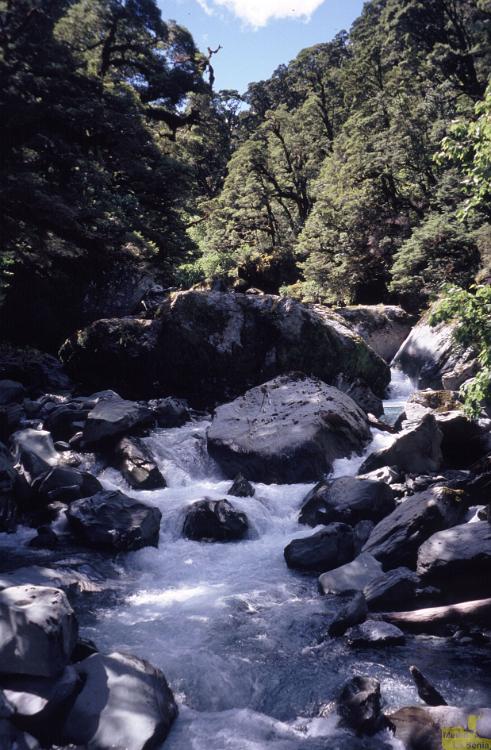 NZ 0408