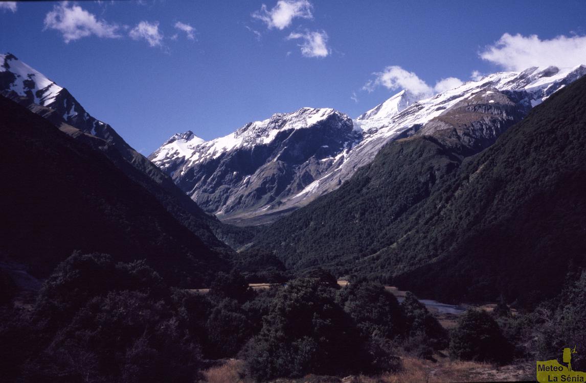 NZ 0413