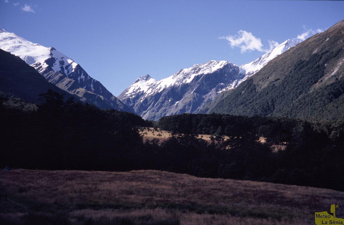NZ 0420