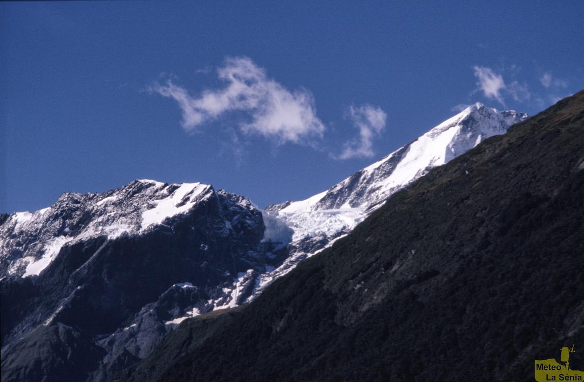 NZ 0421
