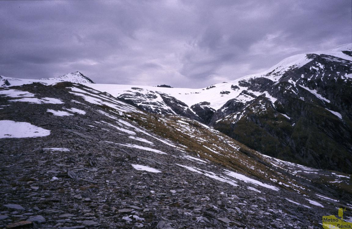 NZ 0434