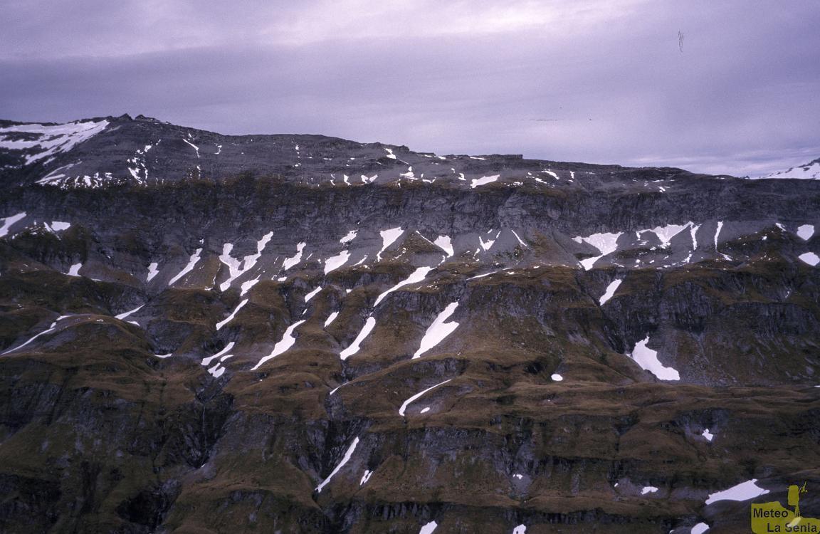 NZ 0436
