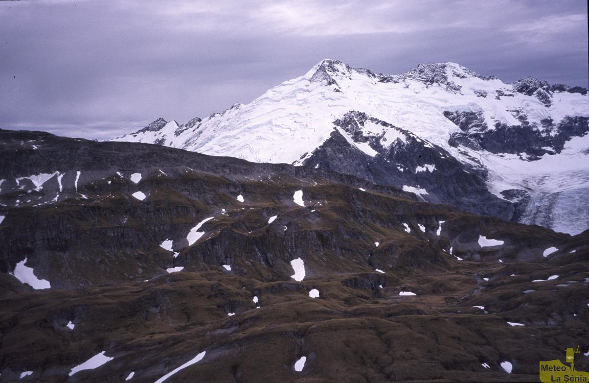 NZ 0437