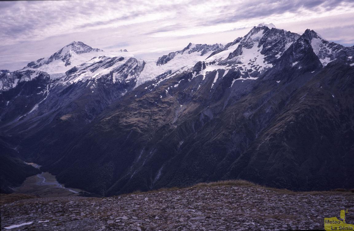 NZ 0441