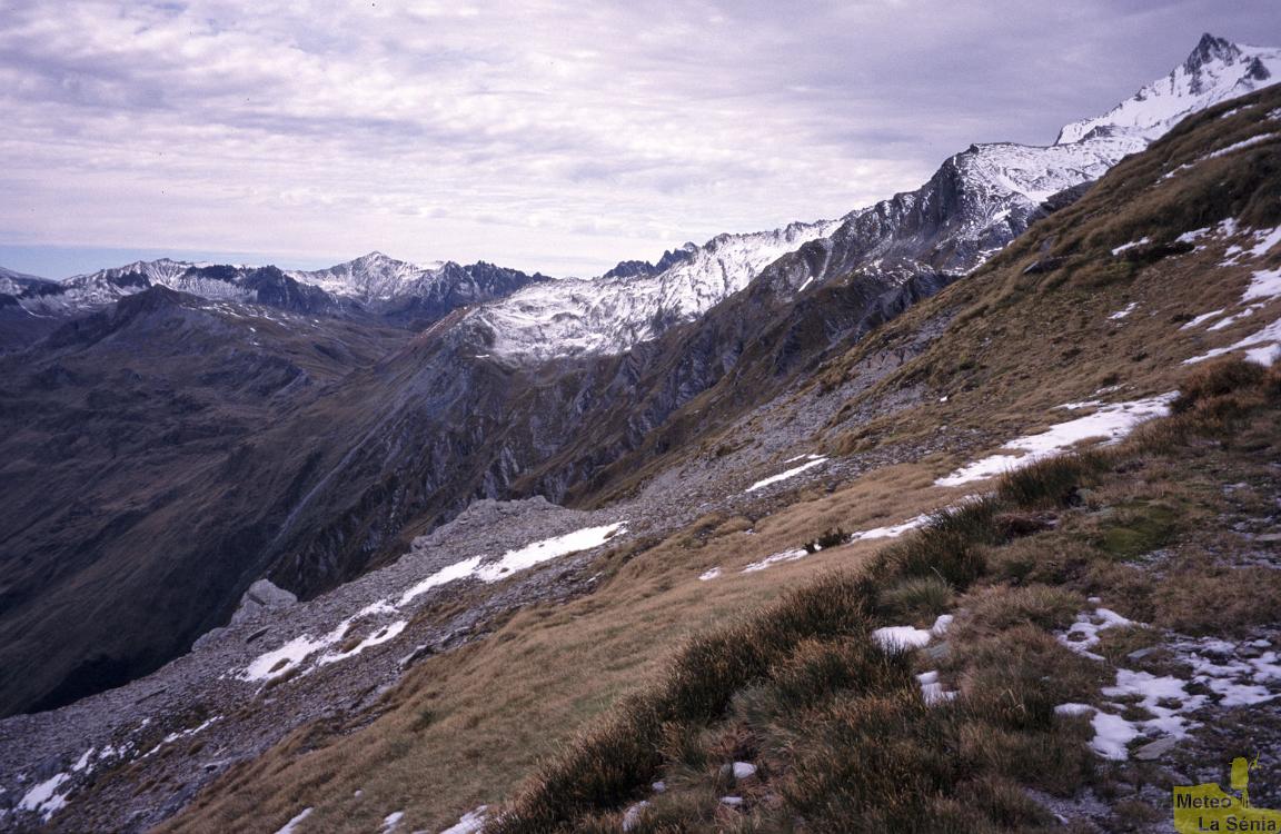 NZ 0444