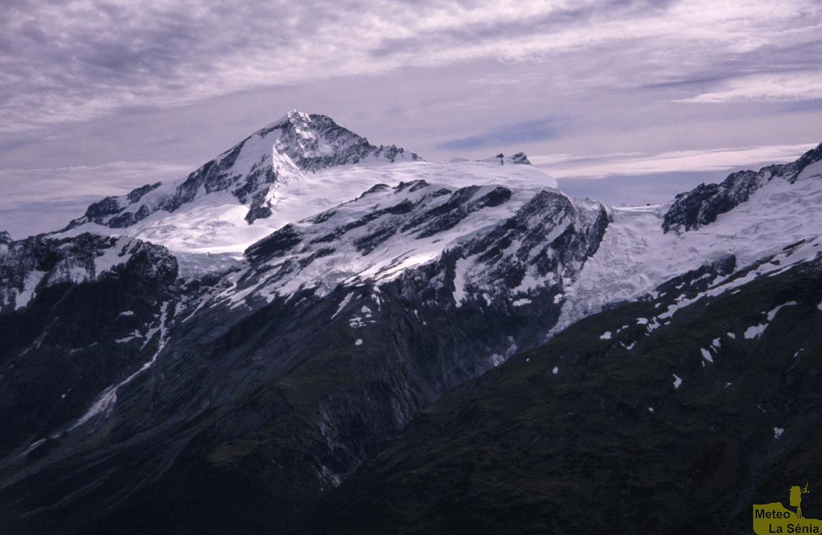 NZ 0446