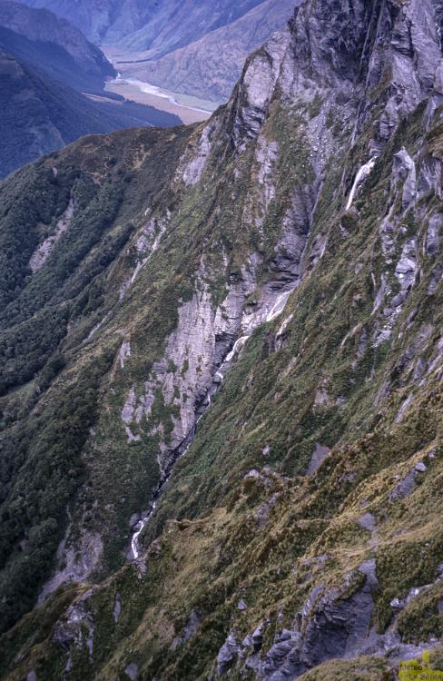 NZ 0451