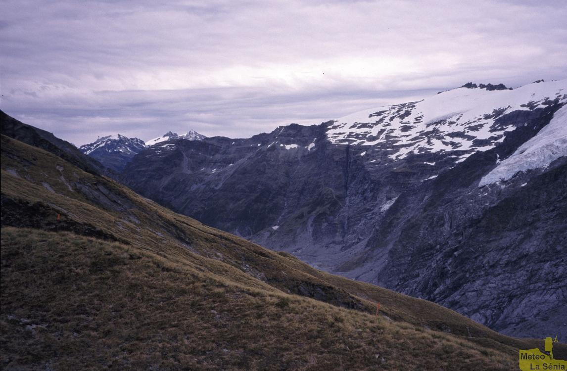 NZ 0454