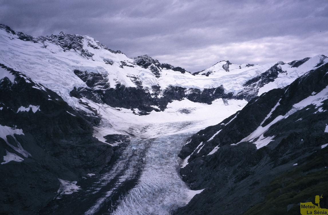 NZ 0456