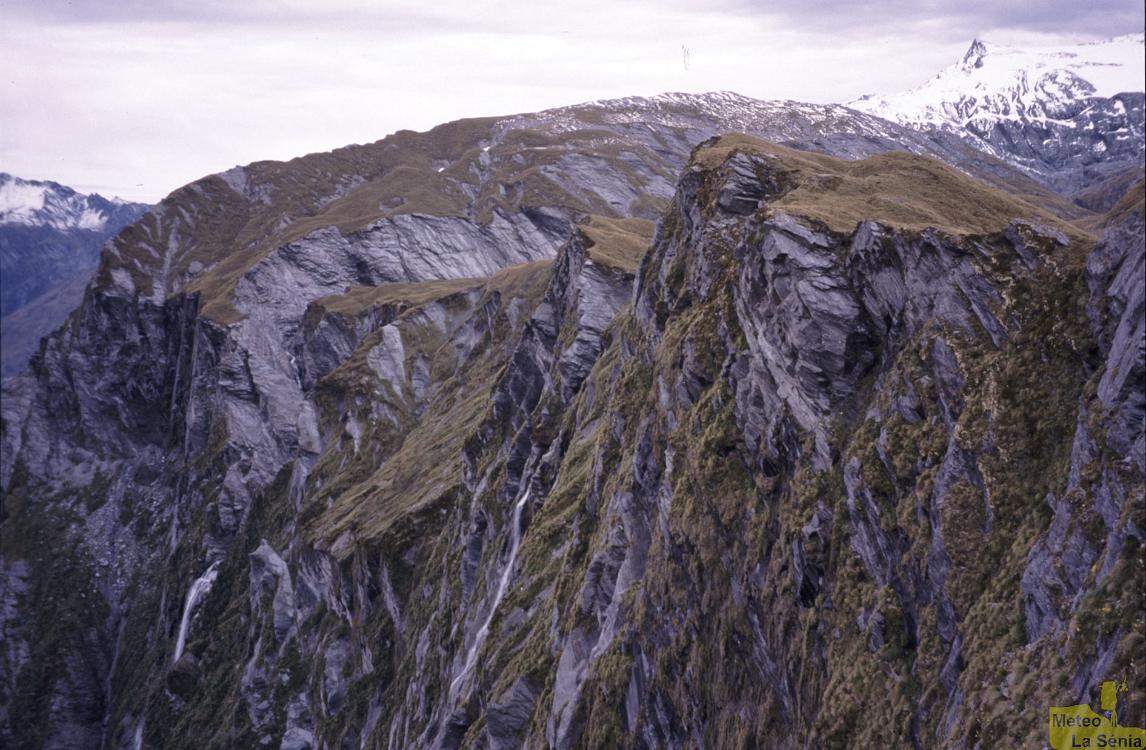 NZ 0462