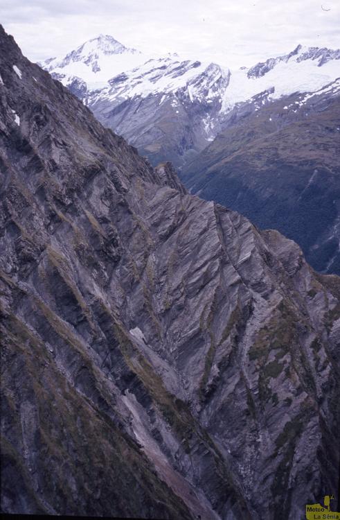 NZ 0470